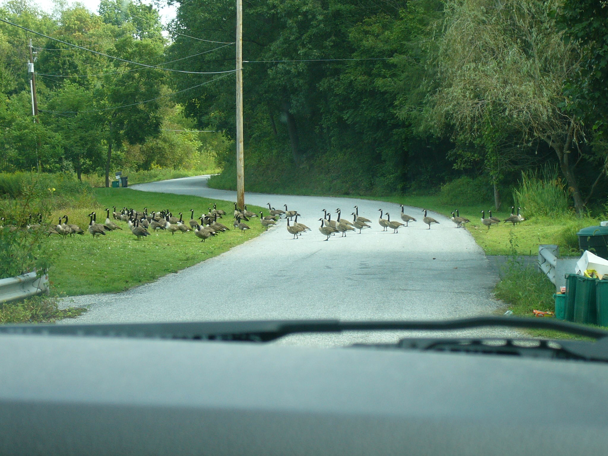 penncountryroads.jpg