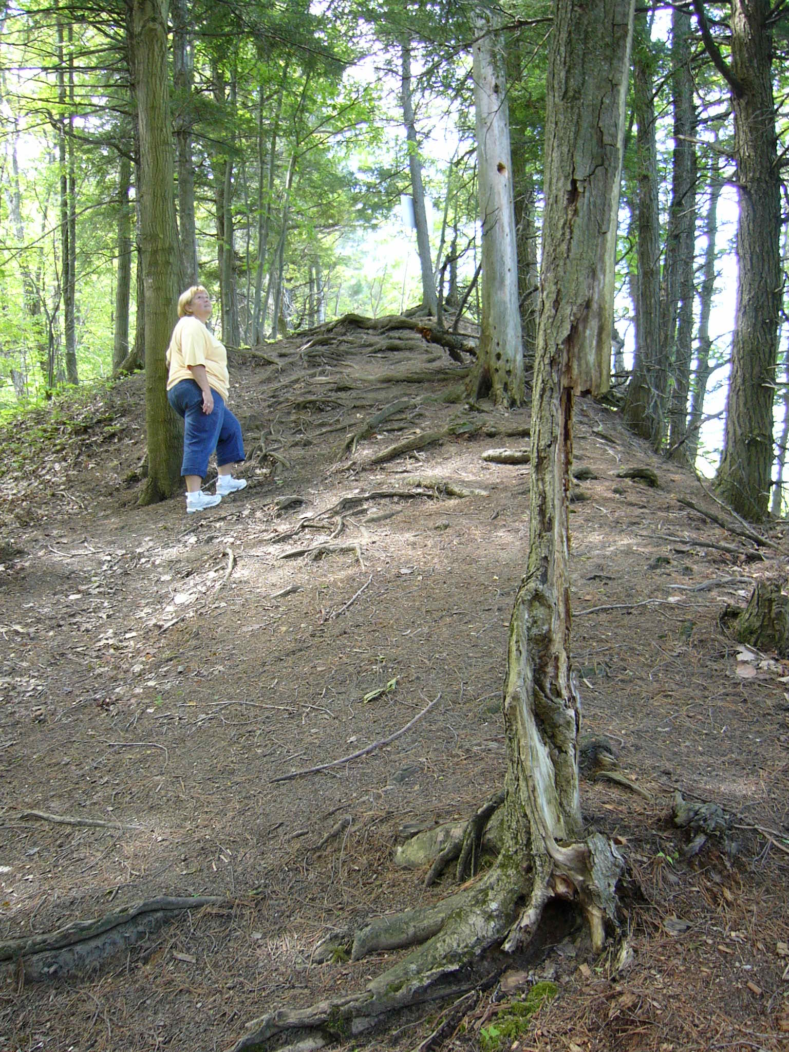 theclimb.jpg