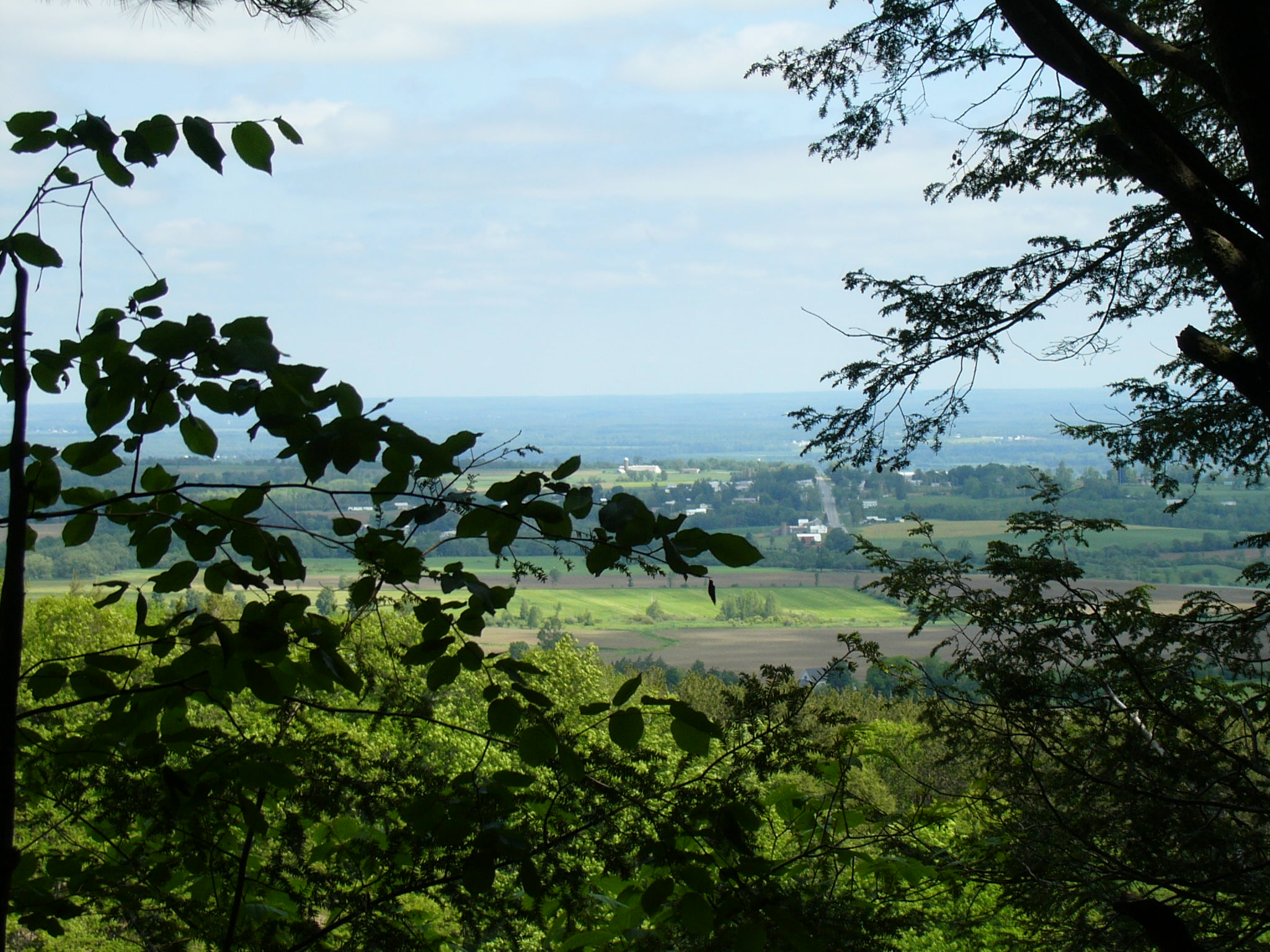 theview.jpg